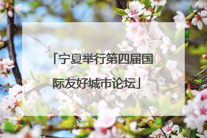宁夏举行第四届国际友好城市论坛