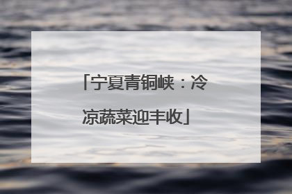 宁夏青铜峡：冷凉蔬菜迎丰收