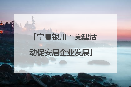 宁夏银川：党建活动促安居企业发展