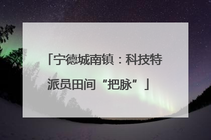 宁德城南镇：科技特派员田间“把脉”