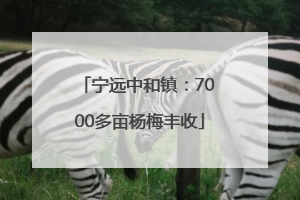 宁远中和镇：7000多亩杨梅丰收