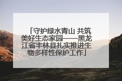 守护绿水青山 共筑美好生态家园——黑龙江省丰林县扎实推进生物多样性保护工作