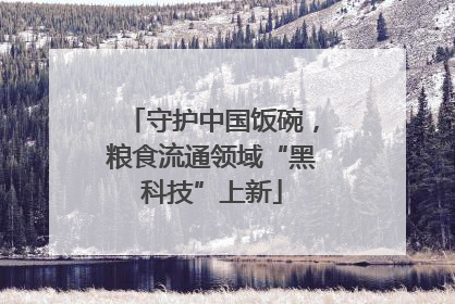 守护中国饭碗，粮食流通领域“黑科技”上新