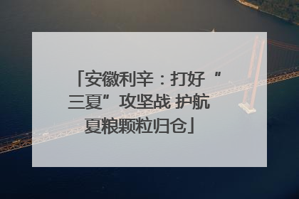 安徽利辛：打好“三夏”攻坚战 护航夏粮颗粒归仓