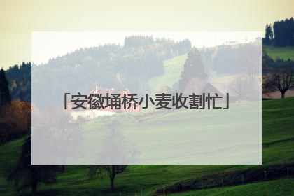 安徽埇桥小麦收割忙