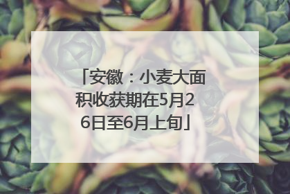 安徽：小麦大面积收获期在5月26日至6月上旬