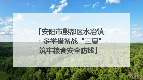 安阳市殷都区水冶镇：多举措备战“三夏” 筑牢粮食安全防线