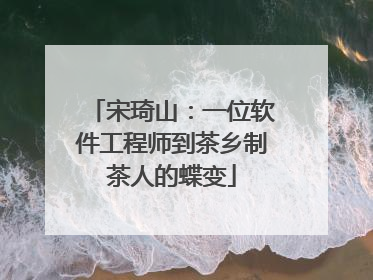 宋琦山：一位软件工程师到茶乡制茶人的蝶变