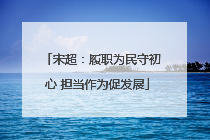 宋超：履职为民守初心 担当作为促发展