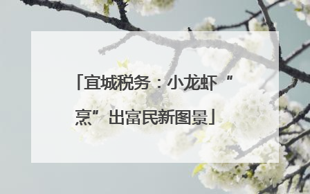 宜城税务：小龙虾“烹”出富民新图景