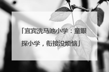 宜宾洗马池小学：童眼探小学，衔接没烦恼