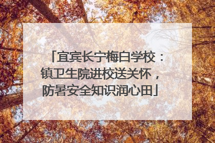 宜宾长宁梅白学校：镇卫生院进校送关怀，防暑安全知识润心田