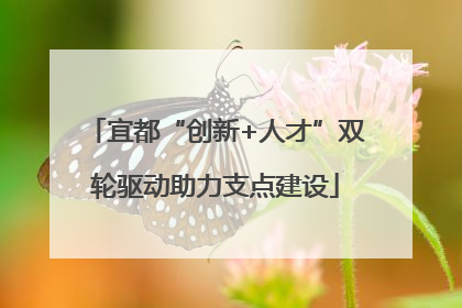 宜都“创新+人才”双轮驱动助力支点建设