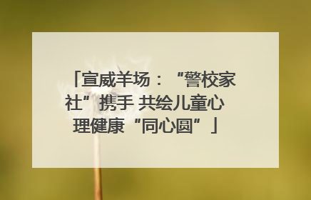 宣威羊场：“警校家社”携手 共绘儿童心理健康“同心圆”