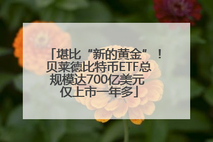 堪比“新的黄金”！贝莱德比特币ETF总规模达700亿美元 仅上市一年多