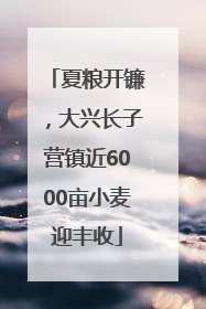 夏粮开镰，大兴长子营镇近6000亩小麦迎丰收