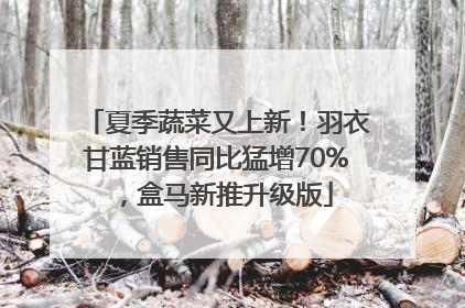夏季蔬菜又上新！羽衣甘蓝销售同比猛增70%，盒马新推升级版