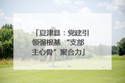 夏津县：党建引领强根基 “支部主心骨”聚合力