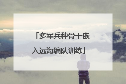 多军兵种骨干嵌入远海编队训练