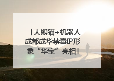 大熊猫+机器人 成都成华禁毒IP形象“华宝”亮相