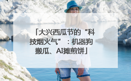 大兴西瓜节的“科技烟火气”：机器狗搬瓜、AI摊煎饼