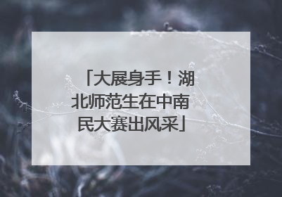 大展身手！湖北师范生在中南民大赛出风采