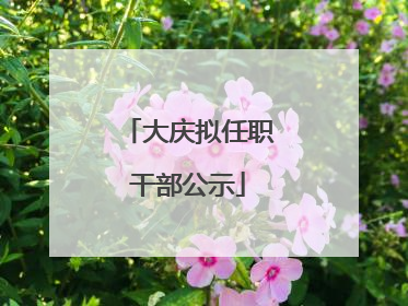 大庆拟任职干部公示