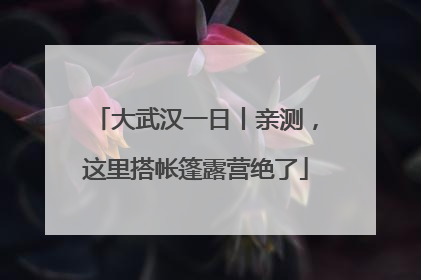 大武汉一日丨亲测，这里搭帐篷露营绝了