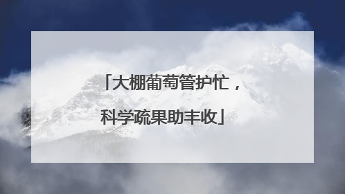 大棚葡萄管护忙，科学疏果助丰收