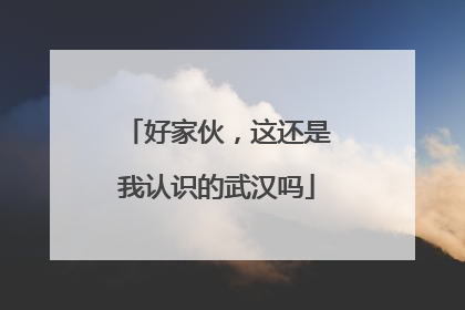 好家伙，这还是我认识的武汉吗