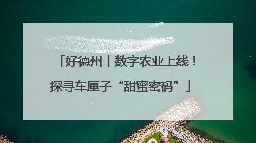 好德州丨数字农业上线！探寻车厘子“甜蜜密码”