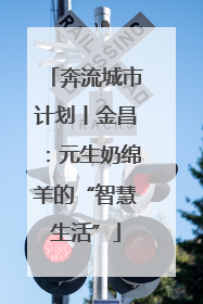 奔流城市计划丨金昌：元生奶绵羊的“智慧生活”