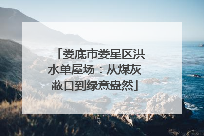 娄底市娄星区洪水单屋场：从煤灰蔽日到绿意盎然