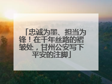 忠诚为墨、担当为锋！在千年丝路的褶皱处，甘州公安写下平安的注脚