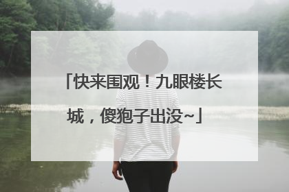 快来围观！九眼楼长城，傻狍子出没~