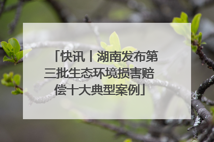 快讯丨湖南发布第三批生态环境损害赔偿十大典型案例