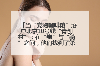 当“宠物咖啡馆”落户北京10号线“青创村”：在“卷”与“躺”之间，他们找到了第三种生活公式