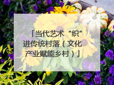 当代艺术“织”进传统村落（文化产业赋能乡村）