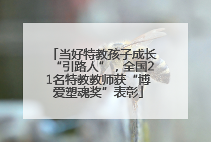 当好特教孩子成长“引路人”，全国21名特教教师获“博爱塑魂奖”表彰