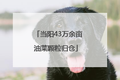 当阳43万余亩油菜颗粒归仓