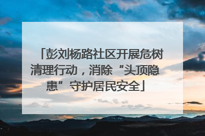 彭刘杨路社区开展危树清理行动，消除“头顶隐患”守护居民安全