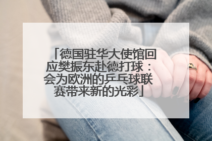 德国驻华大使馆回应樊振东赴德打球：会为欧洲的乒乓球联赛带来新的光彩