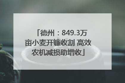 德州：849.3万亩小麦开镰收割 高效农机减损助增收