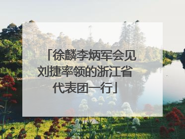 徐麟李炳军会见刘捷率领的浙江省代表团一行