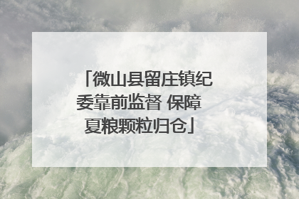 微山县留庄镇纪委靠前监督 保障夏粮颗粒归仓