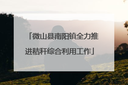 微山县南阳镇全力推进秸秆综合利用工作