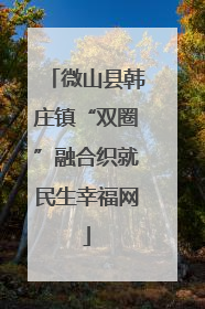微山县韩庄镇“双圈”融合织就民生幸福网