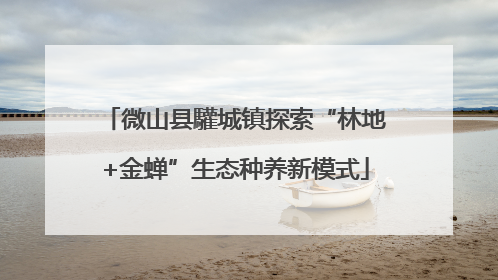微山县驩城镇探索“林地+金蝉”生态种养新模式