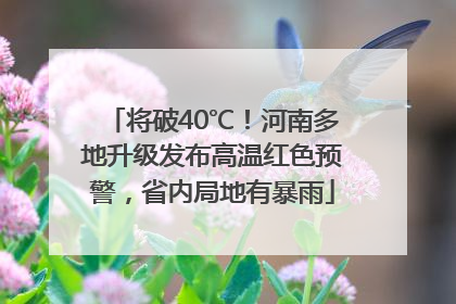 将破40℃！河南多地升级发布高温红色预警，省内局地有暴雨