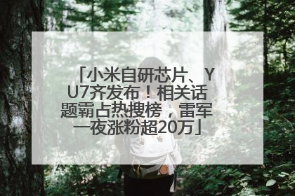 小米自研芯片、YU7齐发布！相关话题霸占热搜榜，雷军一夜涨粉超20万